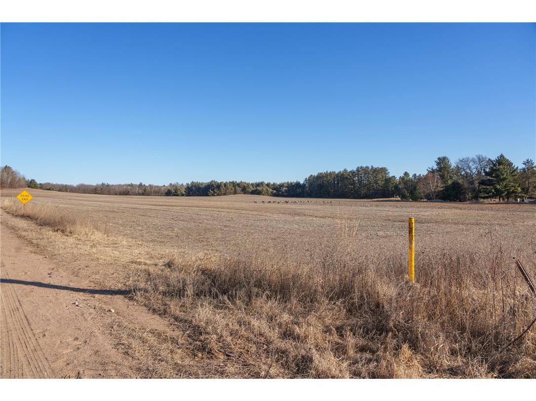 LOT 1 County Road H Fairchild WI 54741 1598798 image21