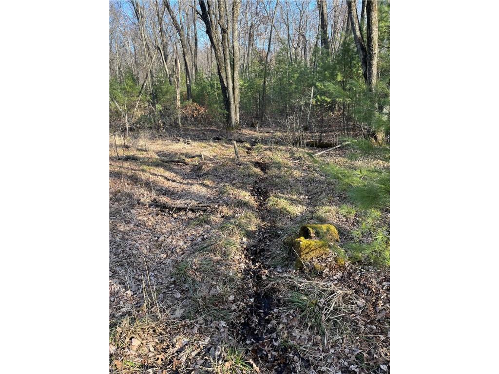 LOT 1 County Road H Fairchild WI 54741 1598798 image23