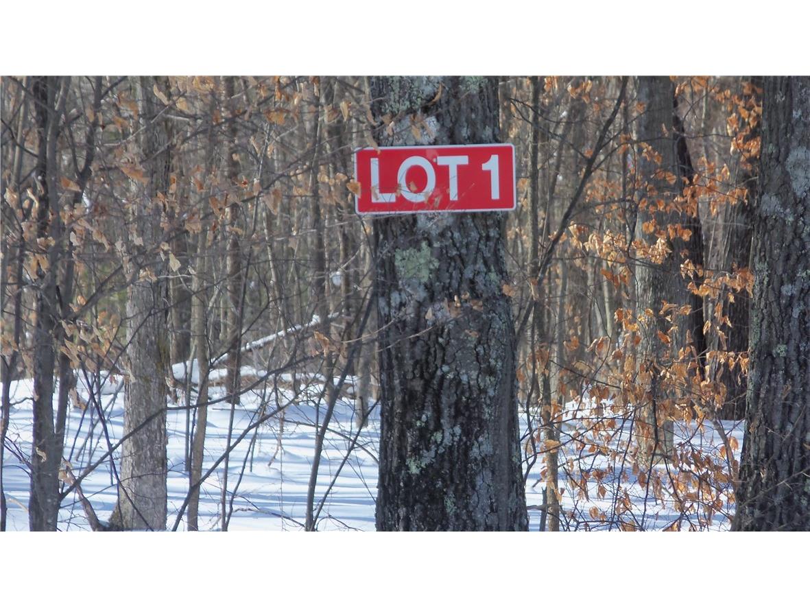 LOT 1 WARNER LAKE RD Webster WI 54893 1571426 image1