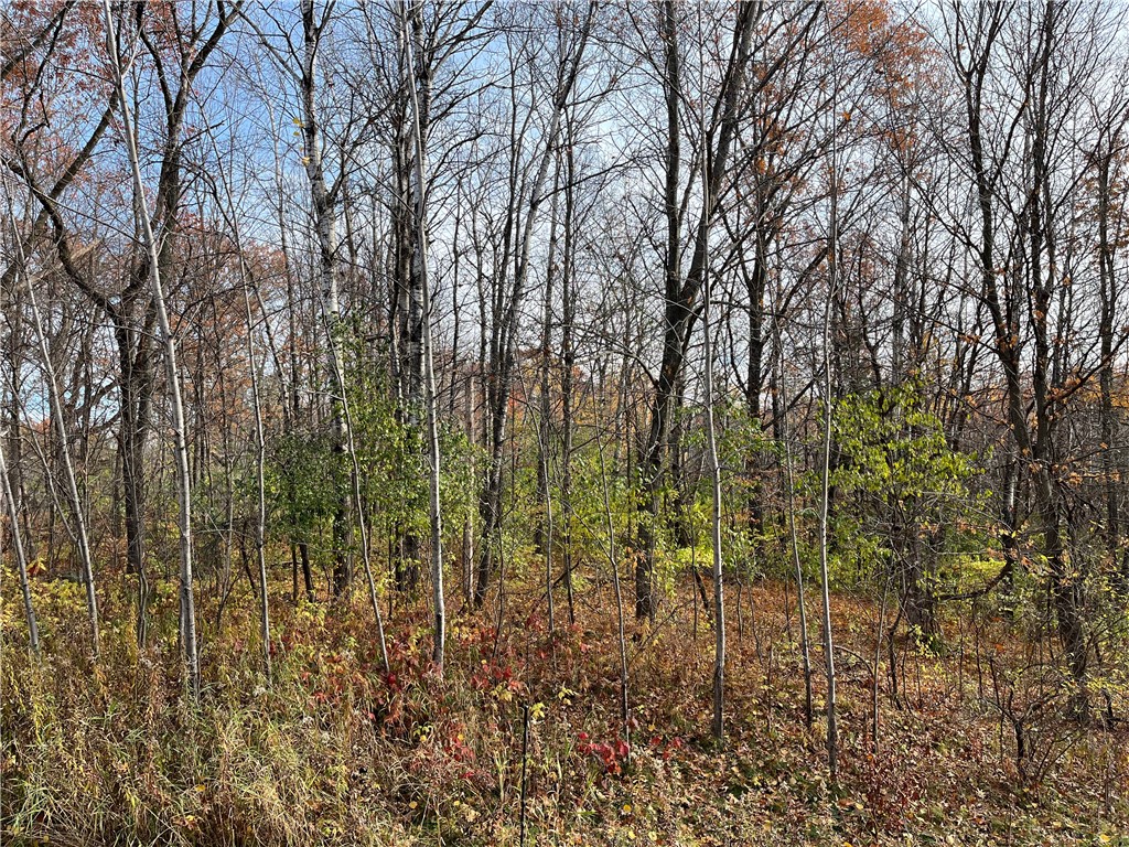 LOT 1 Wilderness Hills Lane Luck WI 54853 1572412 image2