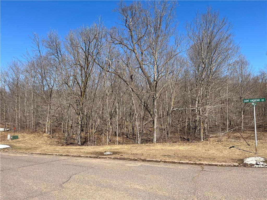 LOT 10 Wilderness Hills Lane, Luck, WI, 54853 MLS 1572483 Edina Realty