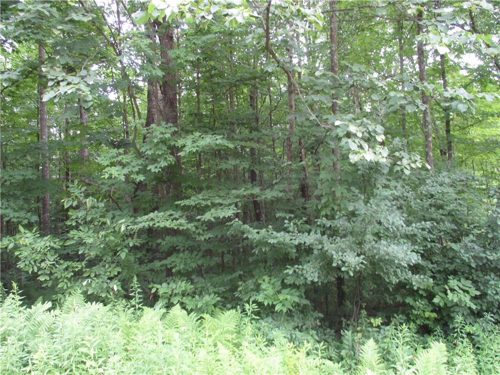 LOT #100 Woods Avenue Birchwood WI 54817 - Red Cedar 1593680 image1