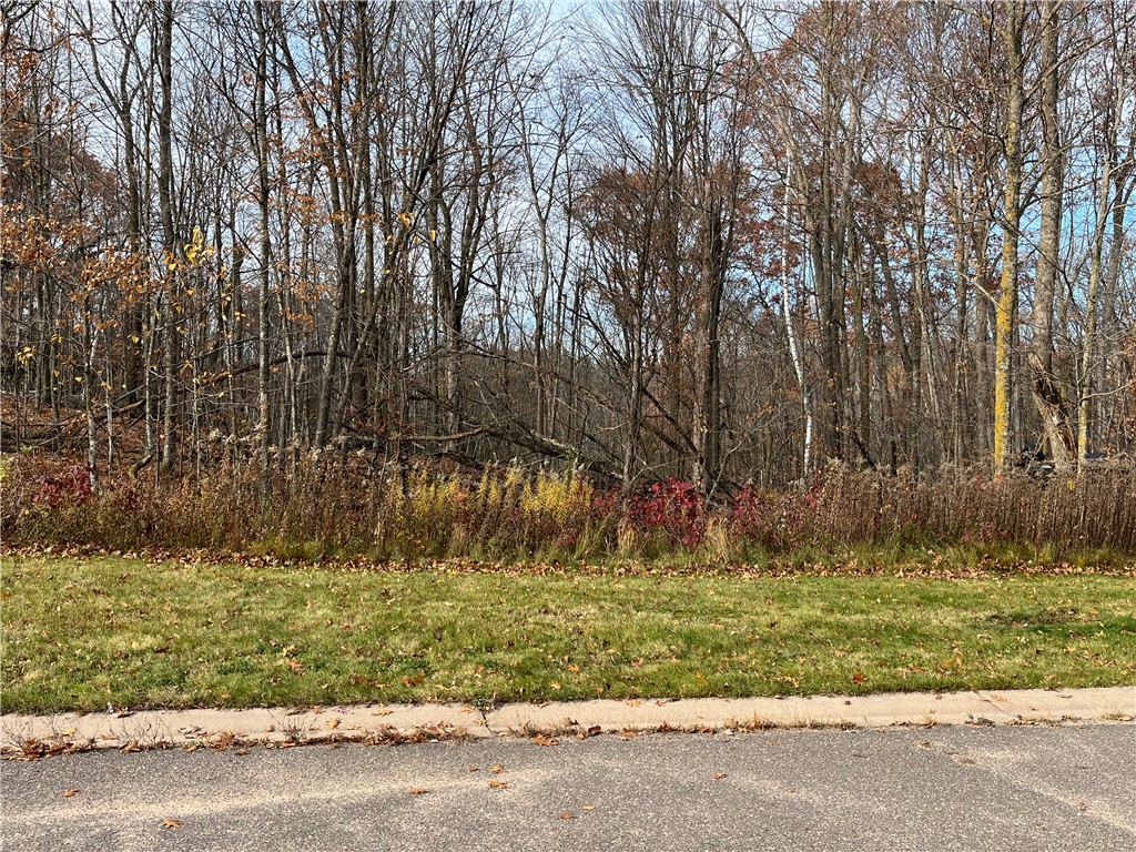LOT 11 Wilderness Hills Lane Luck WI 54853 1572487 image2