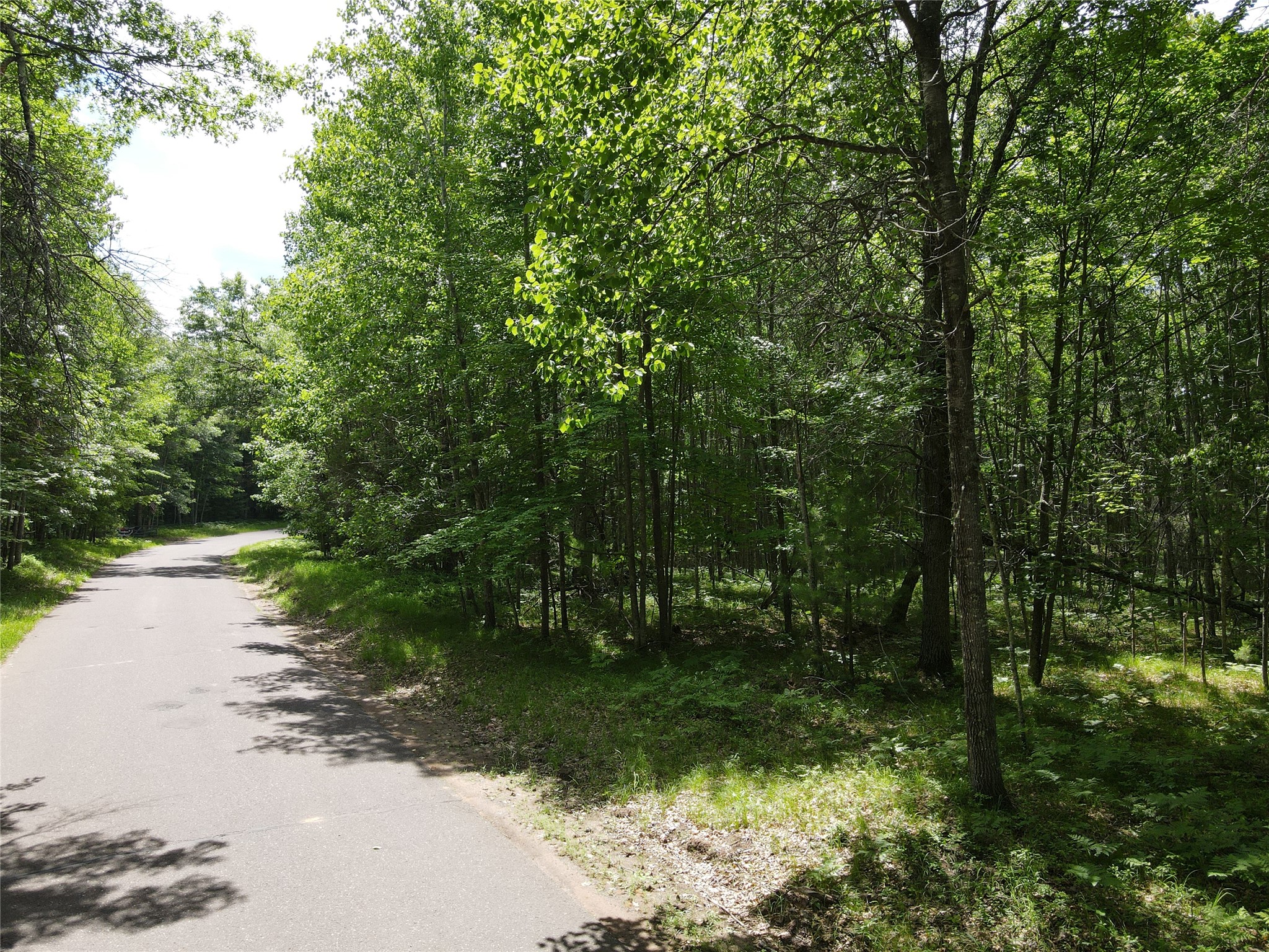 LOT 14 Loon Lake Road Danbury WI 54830 1602344 image14
