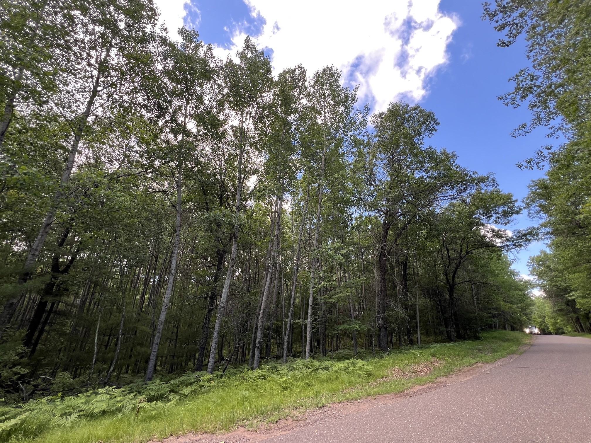 LOT 14 Loon Lake Road Danbury WI 54830 1602344 image2