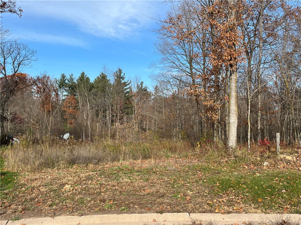 LOT 14 Wilderness Hills Lane Luck WI 54853 1572497 image2