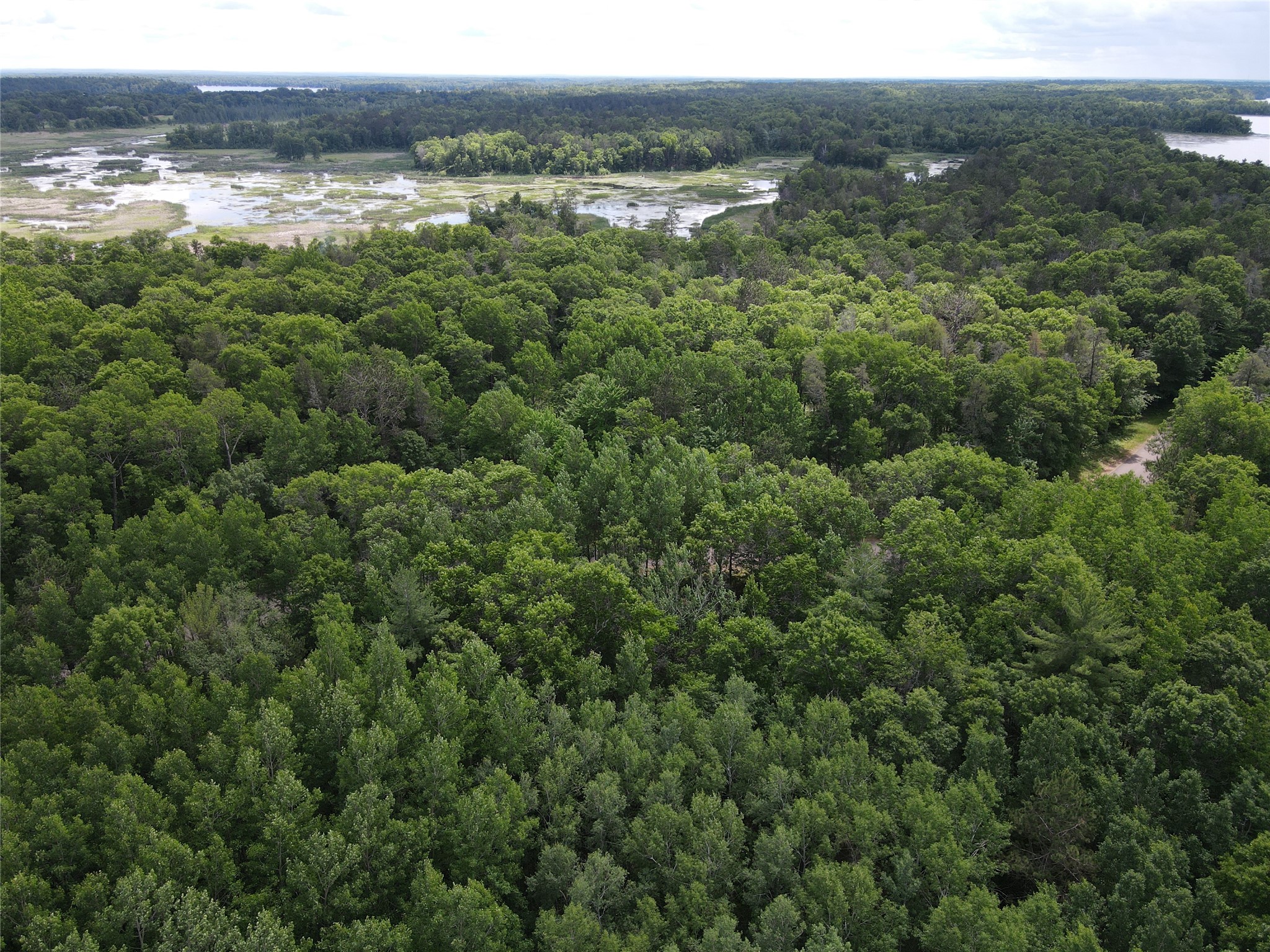 LOT 15 Loon Lake Road Danbury WI 54830 1602353 image3