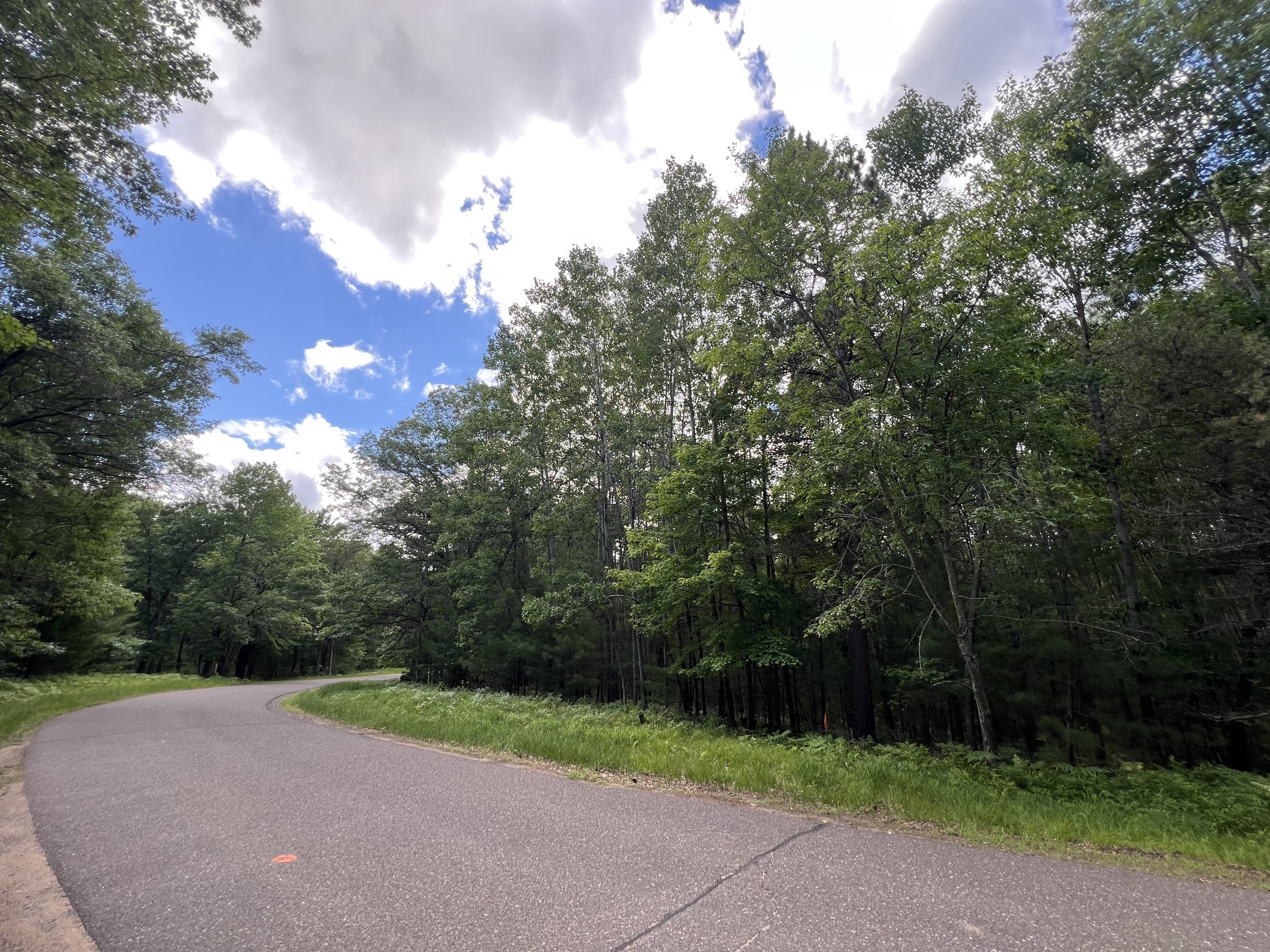 LOT 15 Loon Lake Road Danbury WI 54830 1602353 image5