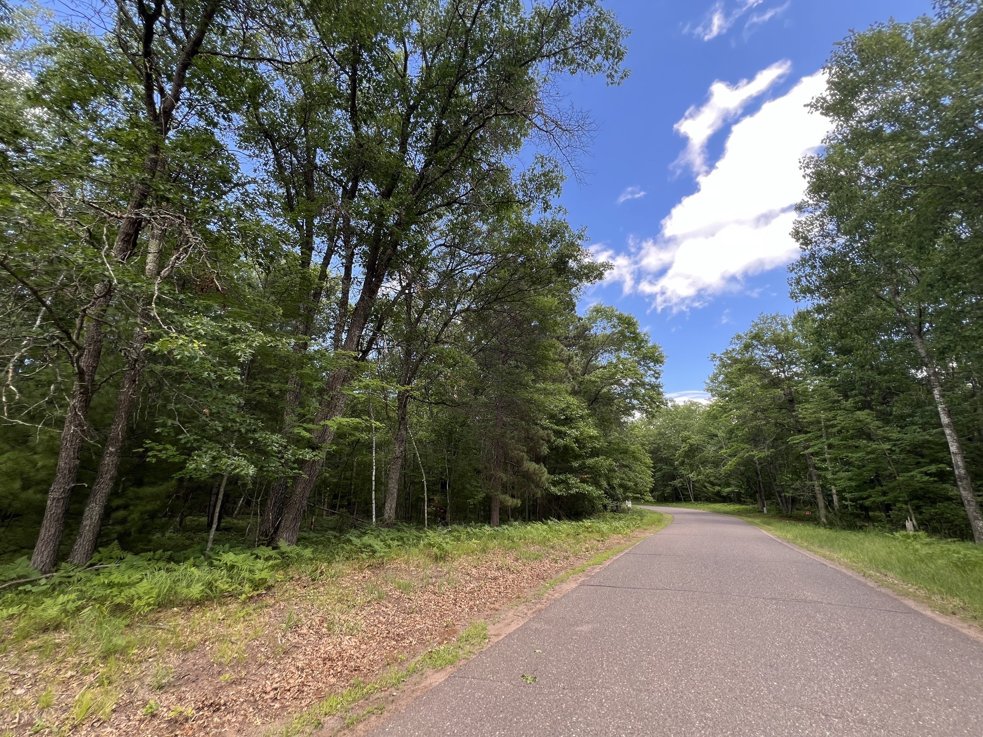 LOT 15 Loon Lake Road Danbury WI 54830 1602353 image6