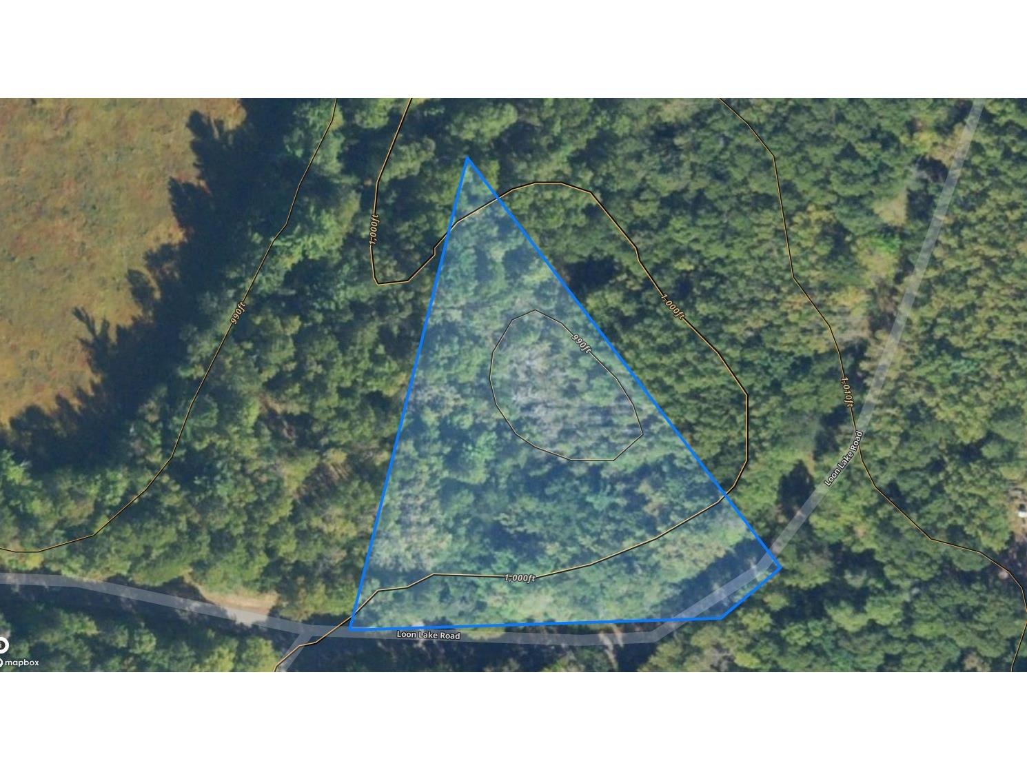 LOT 15 Loon Lake Road Danbury WI 54830 1602353 image9