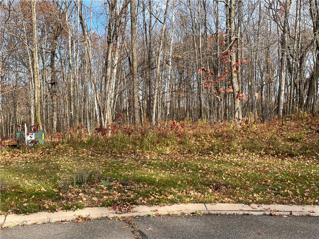 LOT 15 Wilderness Hills Lane Luck WI 54853 1572498 image3