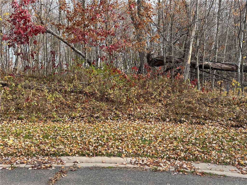 LOT 16 Wilderness Hills Lane Luck WI 54853 1572501 image3