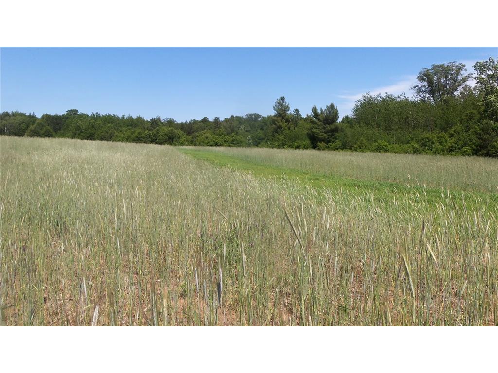 LOT 17 Red Maple Lane Siren WI 54872 1584584 image3