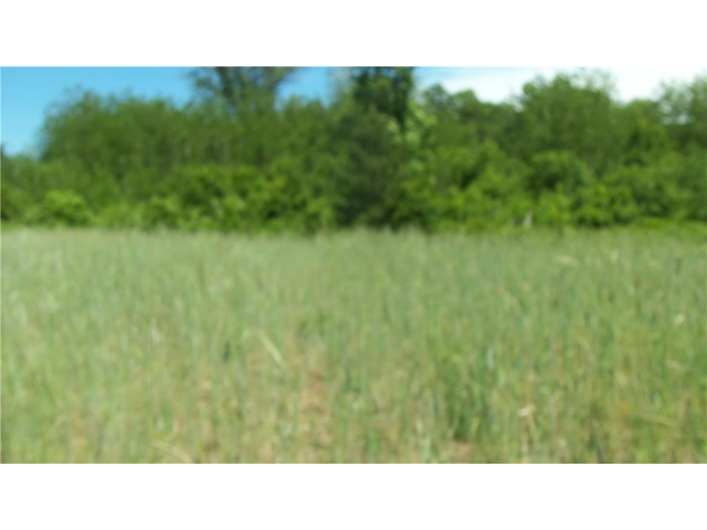 LOT 17 Red Maple Lane Siren WI 54872 1584584 image4