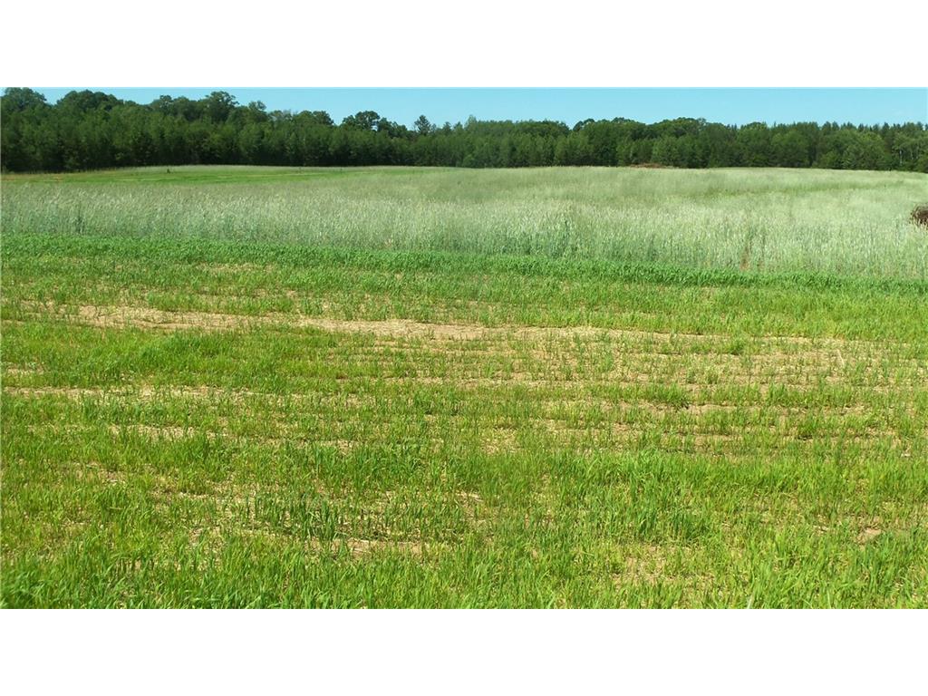 LOT 17 Red Maple Lane Siren WI 54872 1584584 image5