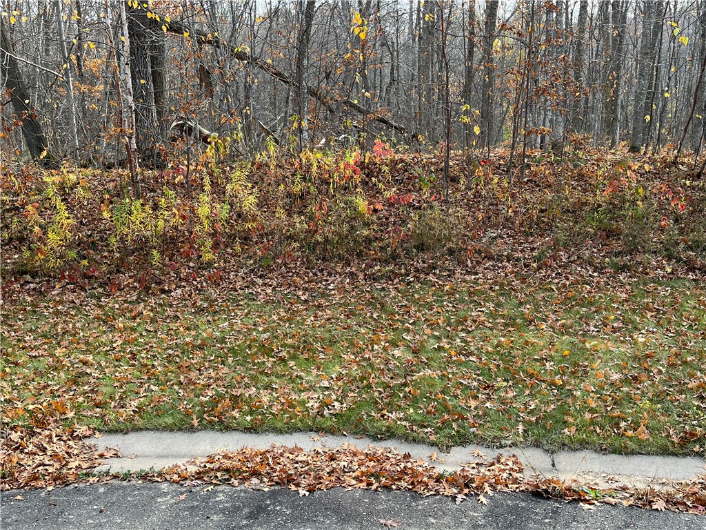 LOT 17 Wilderness Hills Lane Luck WI 54853 1572504 image2