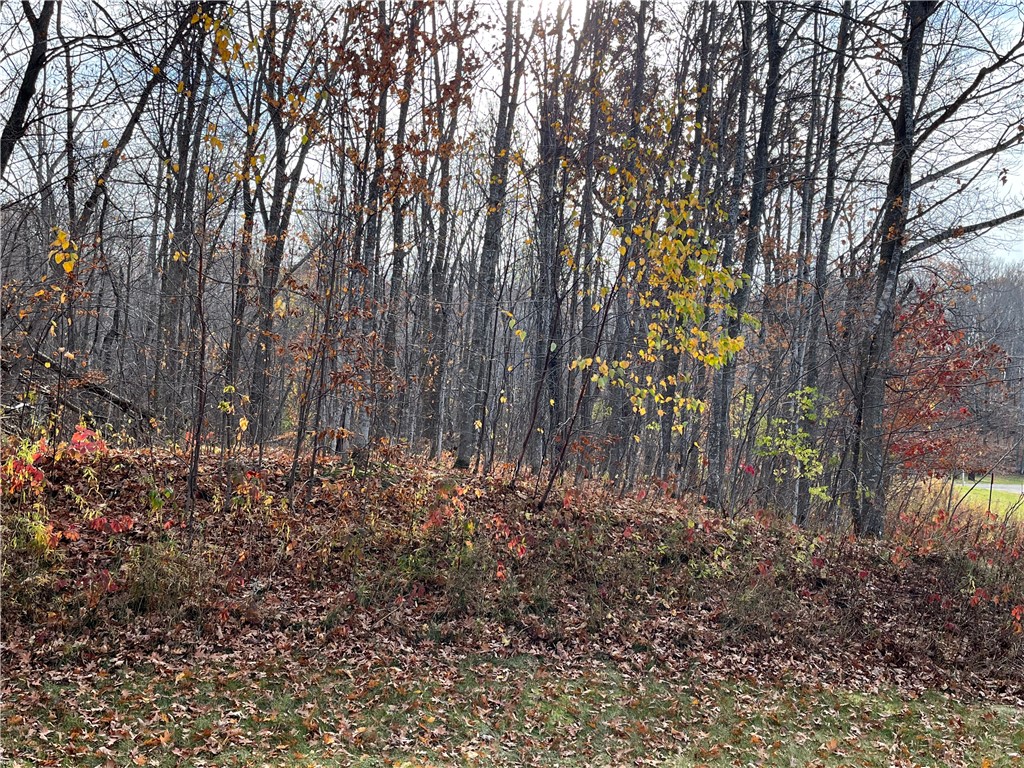 LOT 17 Wilderness Hills Lane Luck WI 54853 1572504 image4