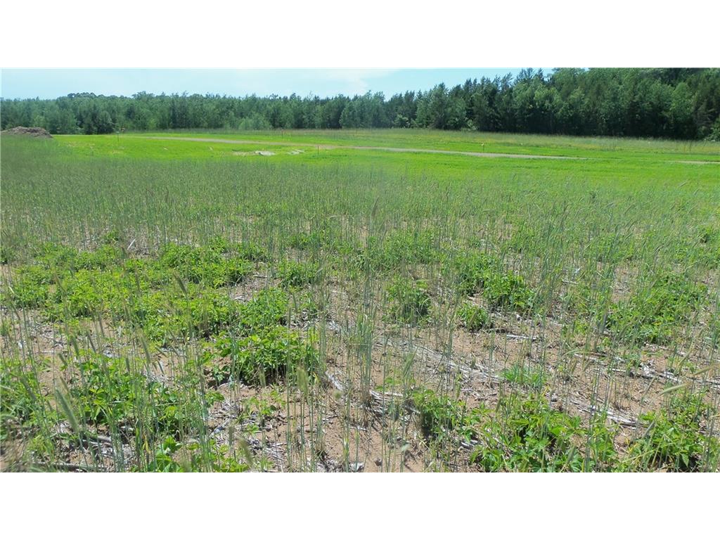 LOT 18 Maple Lane Siren WI 54872 1584586 image4