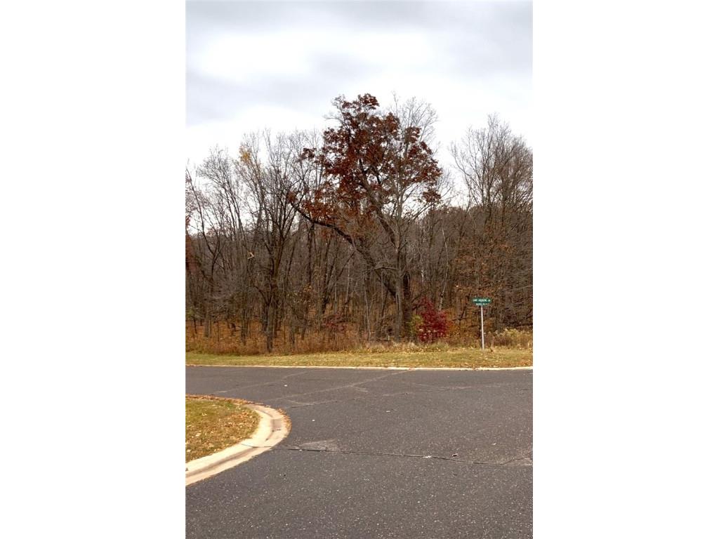 LOT 18 Wilderness Hills Lane Luck WI 54853 1572508 image1