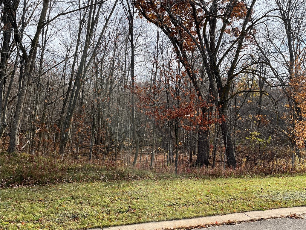 LOT 18 Wilderness Hills Lane Luck WI 54853 1572508 image4
