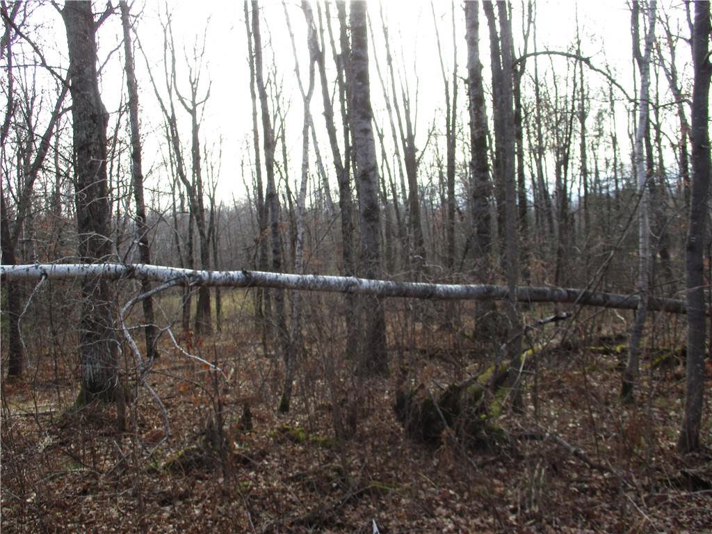 LOT #2 Independence (29 9/16 Ave) Avenue Birchwood WI 54817 - Red Cedar 1587515 image1