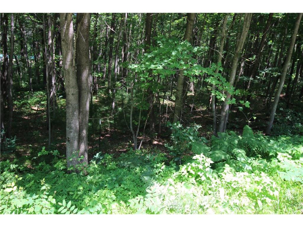 LOT 2 ROCKIE RD, Fall Creek, WI 54742 MLS 1521201 Edina Realty