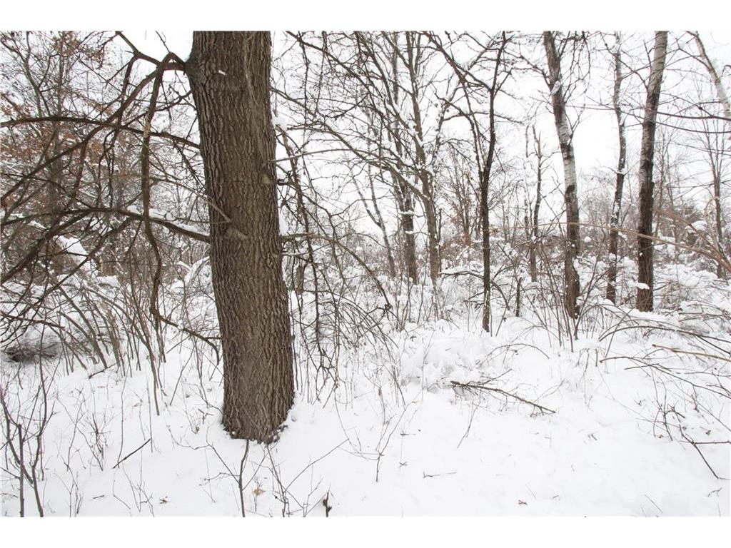 LOT 2 ROCKIE RD Fall Creek WI 54742 1564246 image1