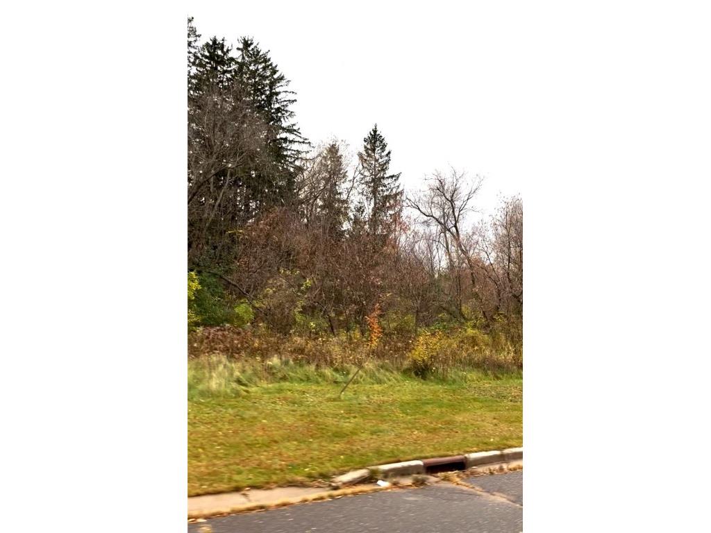 LOT 24 Wilderness Hills Lane Luck WI 54853 1578648 image1