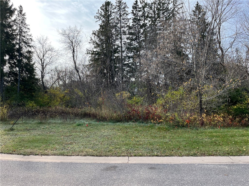 LOT 24 Wilderness Hills Lane Luck WI 54853 1578648 image2