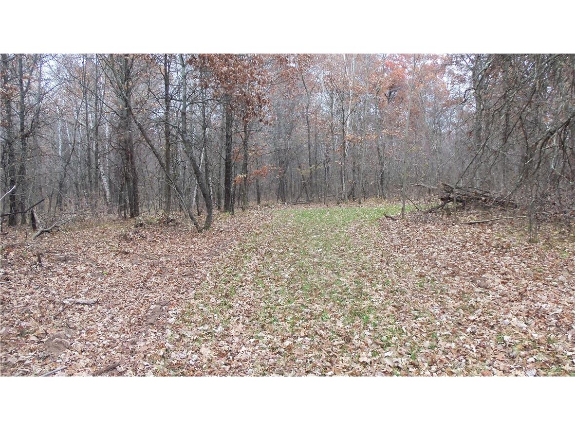 LOT 4 East River Rd Grantsburg WI 54840 1596954 image4