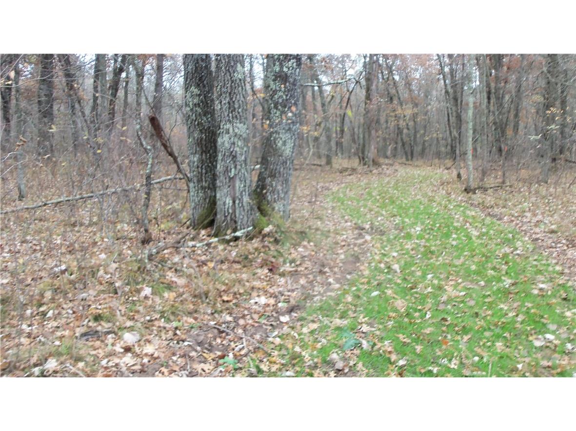 LOT 4 East River Rd Grantsburg WI 54840 1596954 image6