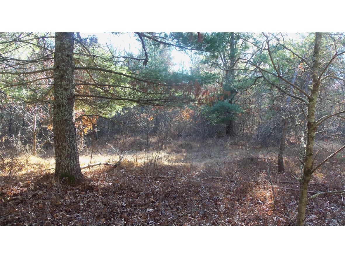 LOT 4 Mclain Rd Grantsburg WI 54840 1597295 image11