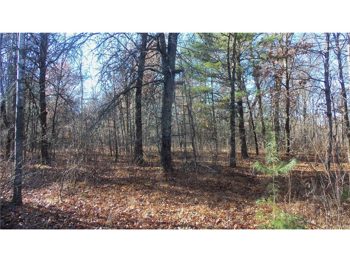 LOT 4 Mclain Rd Grantsburg WI 54840 1597295 image12