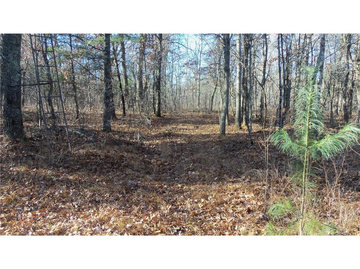 LOT 4 Mclain Rd Grantsburg WI 54840 1597295 image13