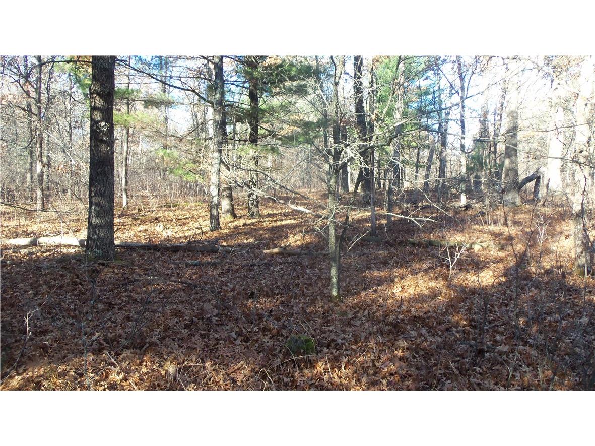 LOT 4 Mclain Rd Grantsburg WI 54840 1597295 image5