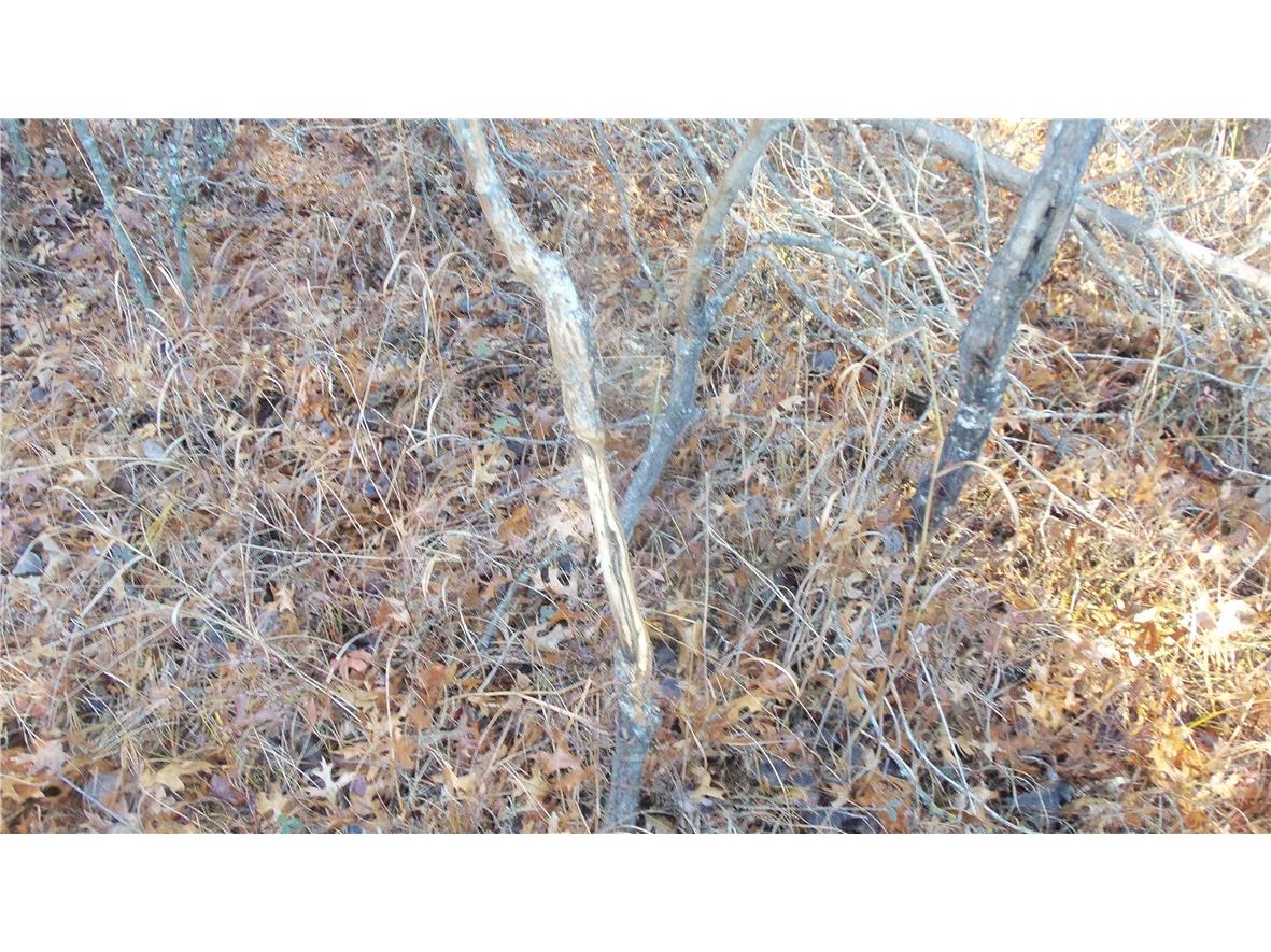 LOT 4 Mclain Rd Grantsburg WI 54840 1597295 image8