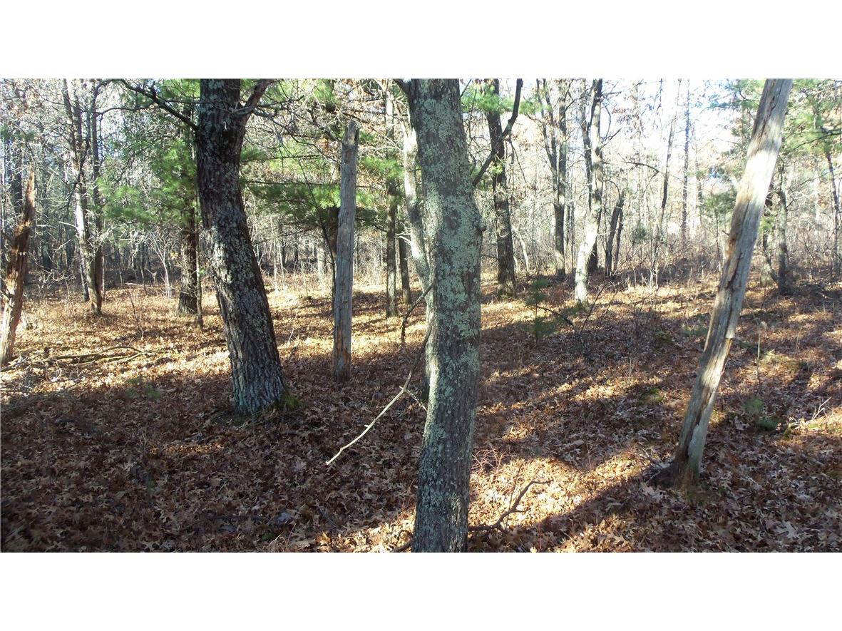 LOT 4 Mclain Rd Grantsburg WI 54840 1597295 image9