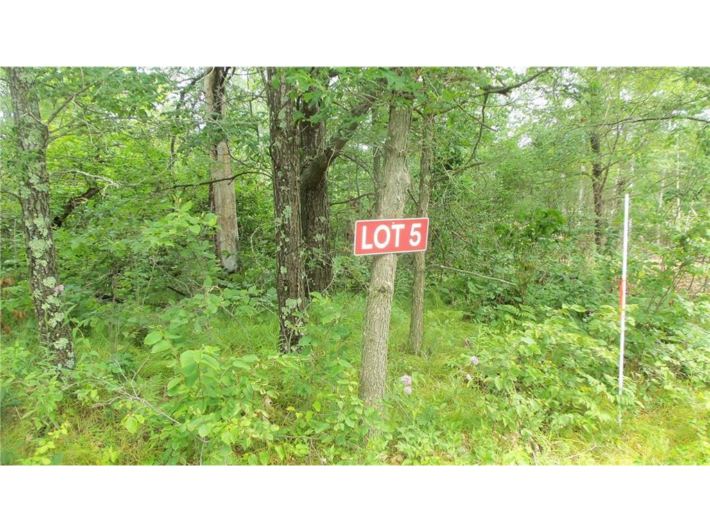 LOT 5 Deerfield Rd Trego WI 54888 1584306 image1