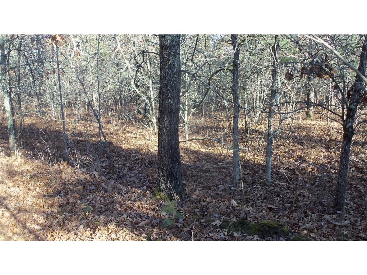 LOT 5 Mclain Rd Grantsburg WI 54840 1597296 image10