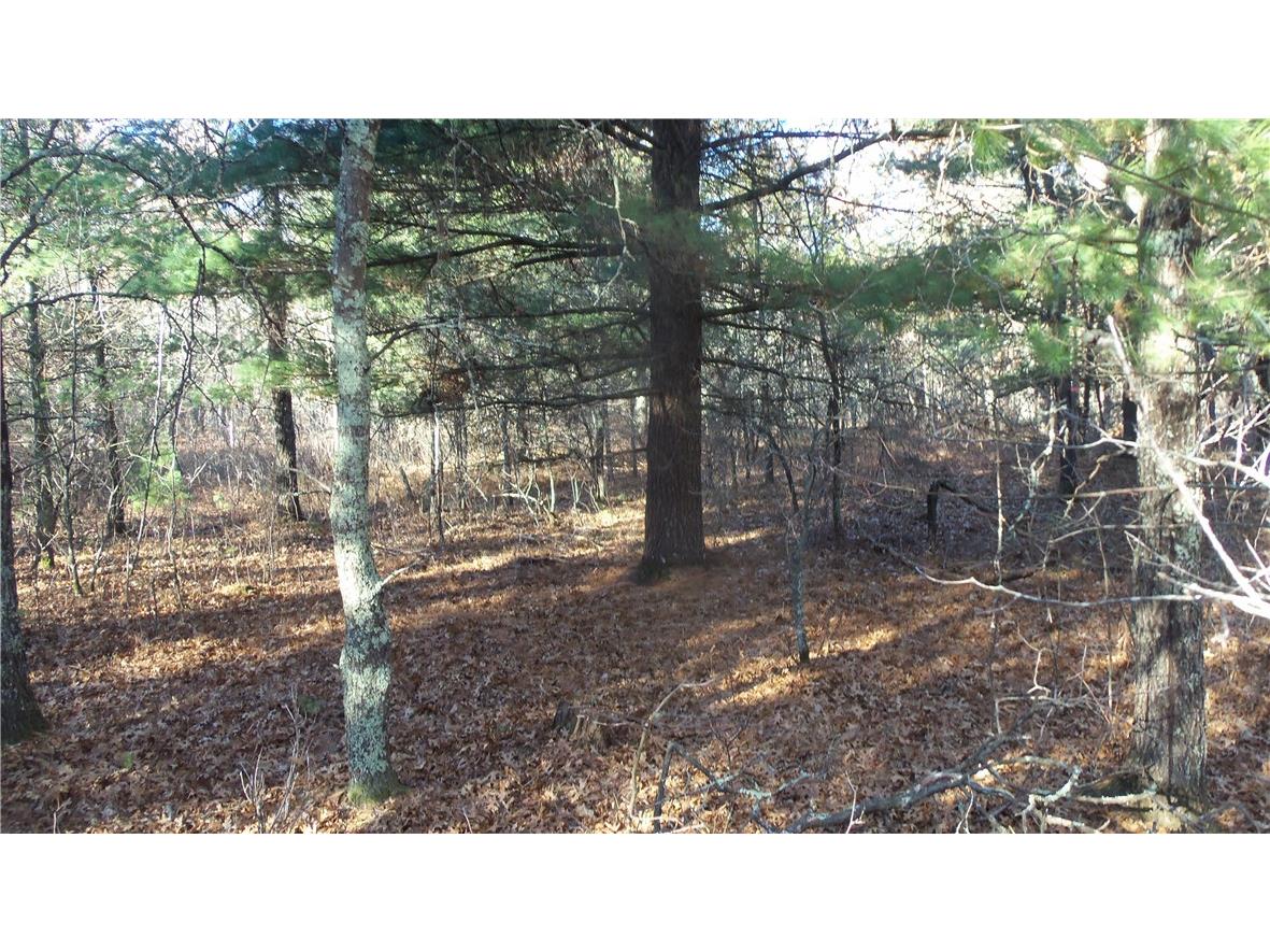 LOT 5 Mclain Rd Grantsburg WI 54840 1597296 image11