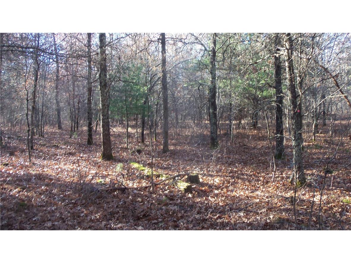 LOT 5 Mclain Rd Grantsburg WI 54840 1597296 image12