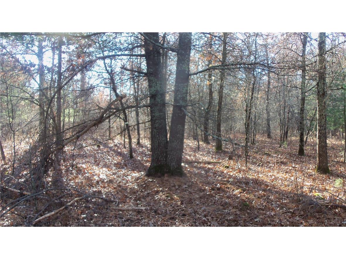 LOT 5 Mclain Rd Grantsburg WI 54840 1597296 image13