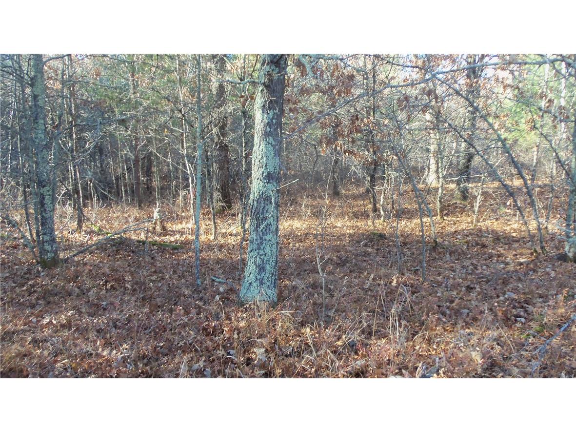 LOT 5 Mclain Rd Grantsburg WI 54840 1597296 image4