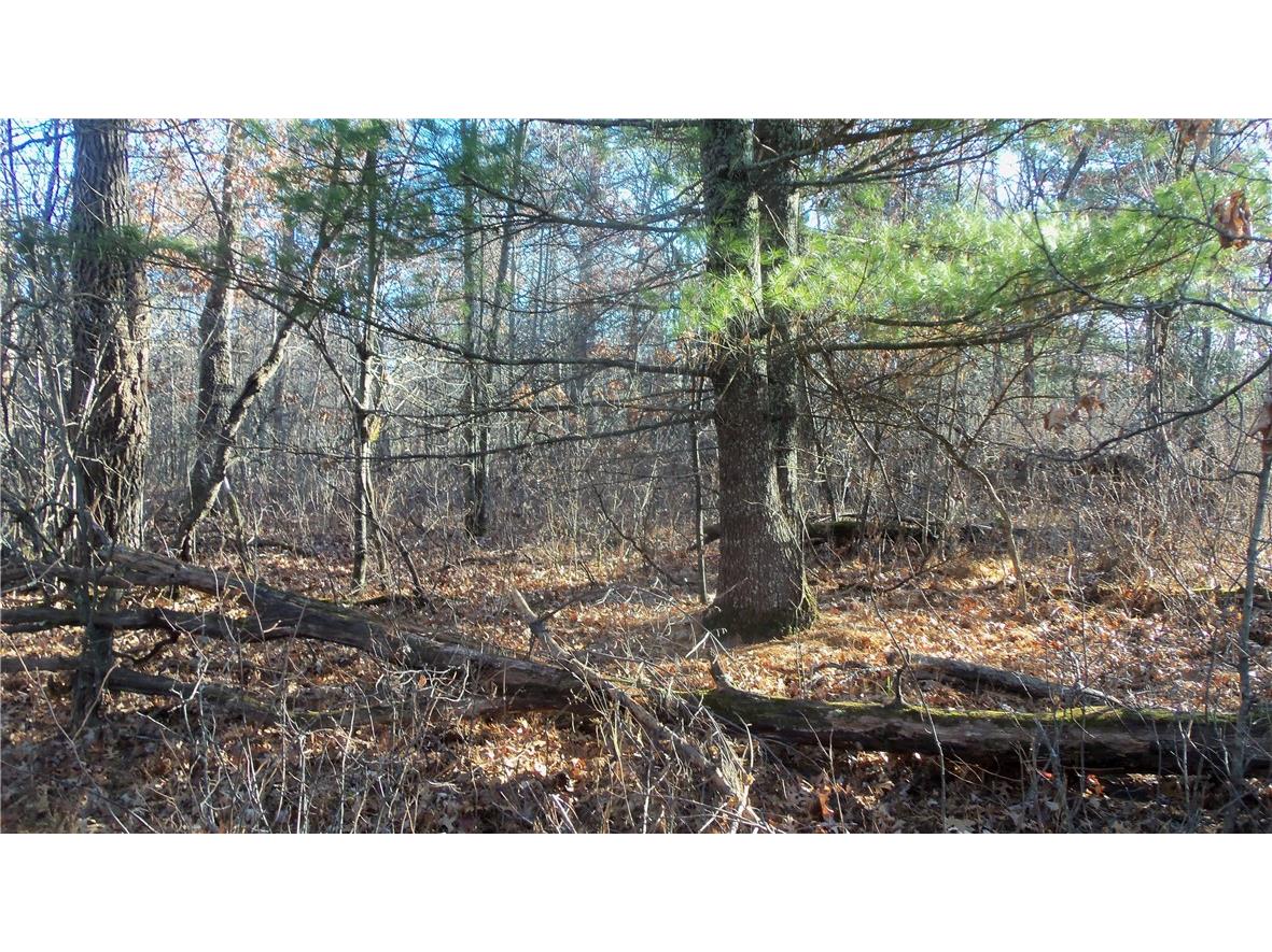 LOT 5 Mclain Rd Grantsburg WI 54840 1597296 image6