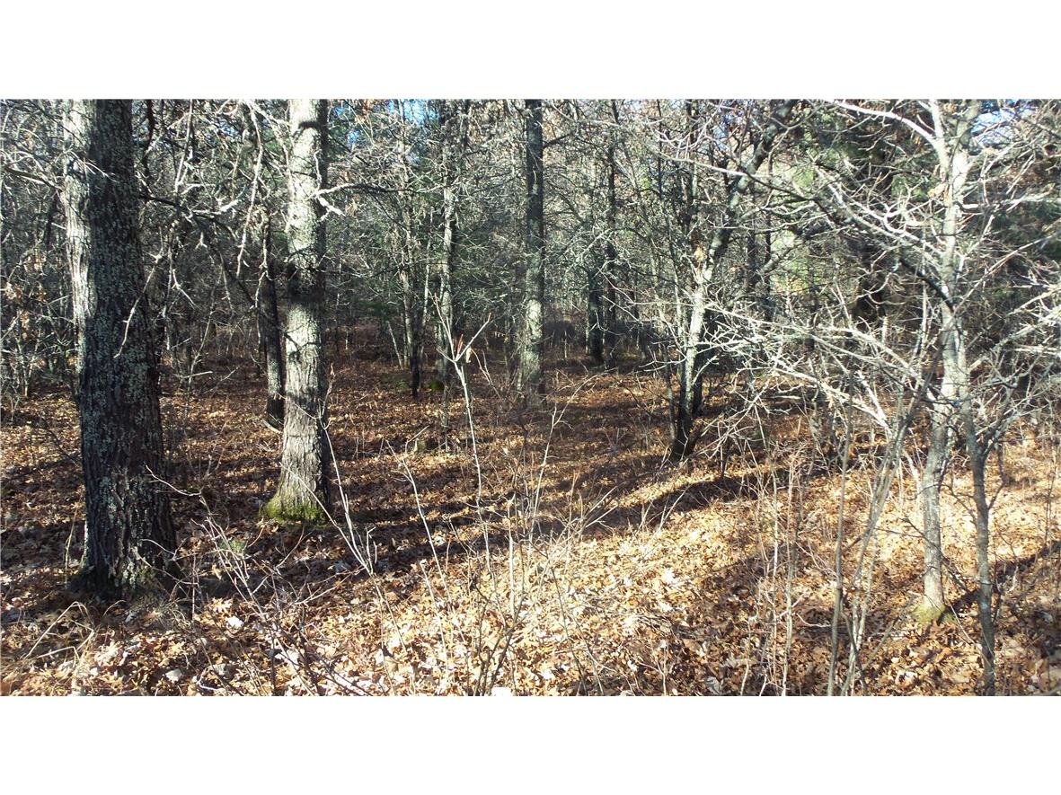 LOT 5 Mclain Rd Grantsburg WI 54840 1597296 image9
