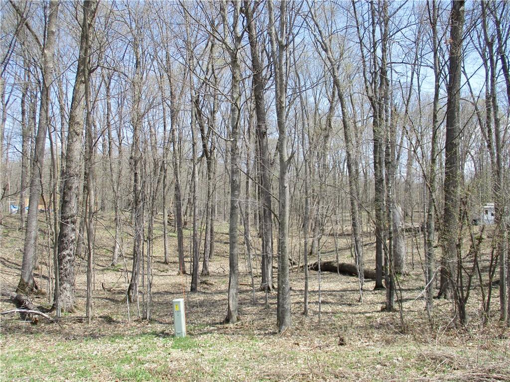  Birchwood WI 54817 - Red Cedar 1572986 image1