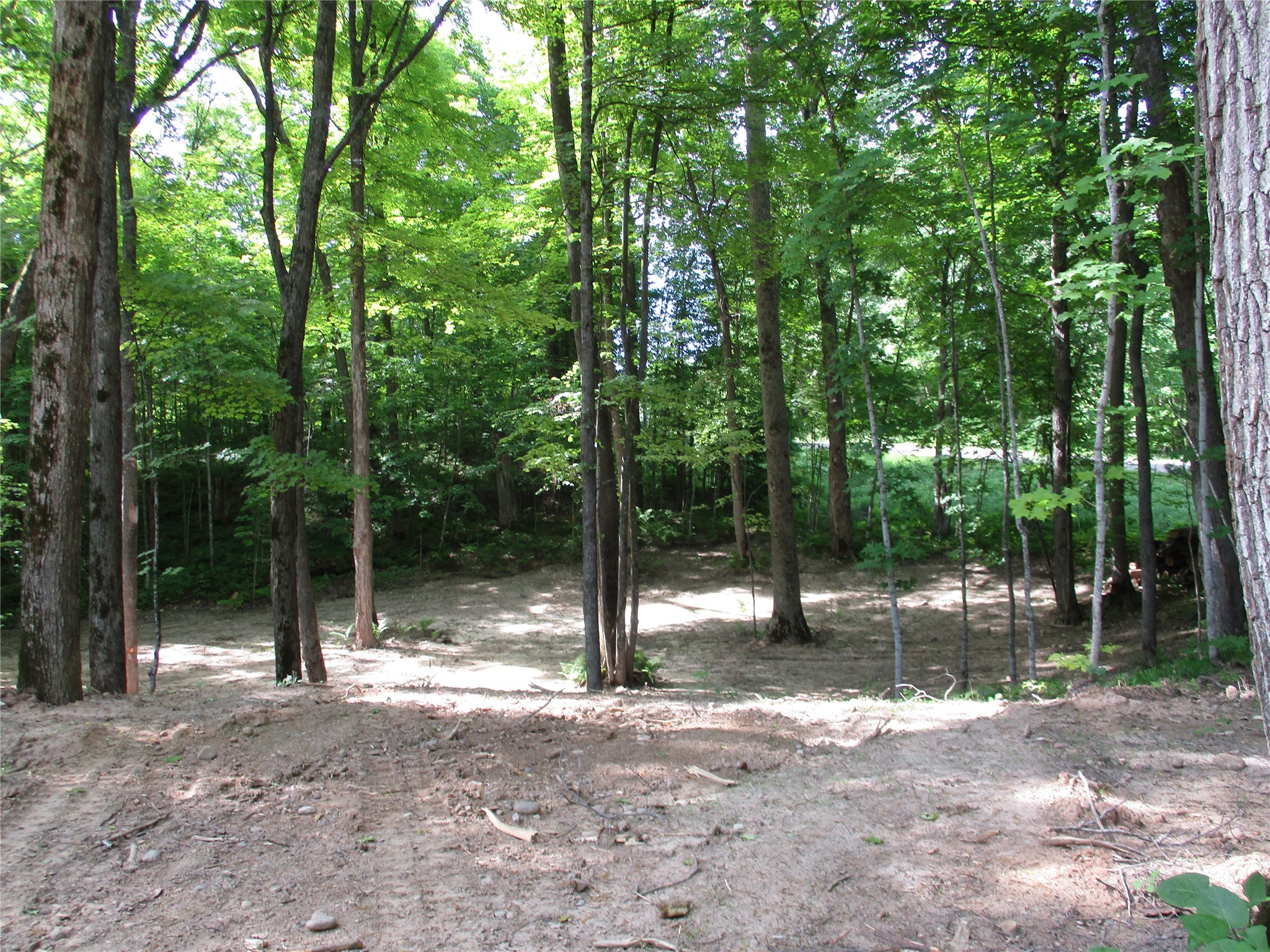 LOT #58 Stewart & 28th Street Birchwood WI 54817 - Red Cedar 1601865 image1