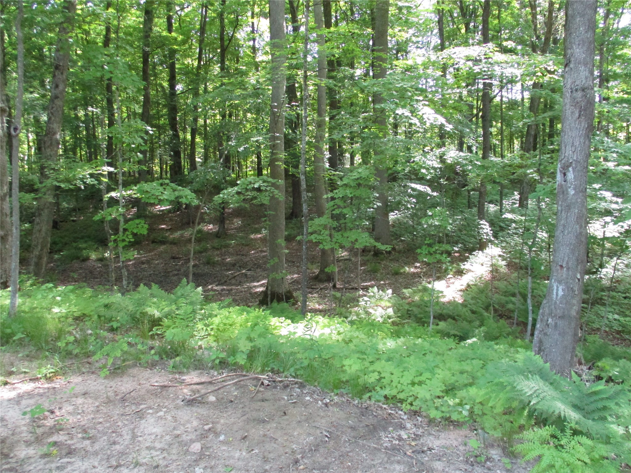 LOT #58 Stewart & 28th Street Birchwood WI 54817 - Red Cedar 1601865 image6