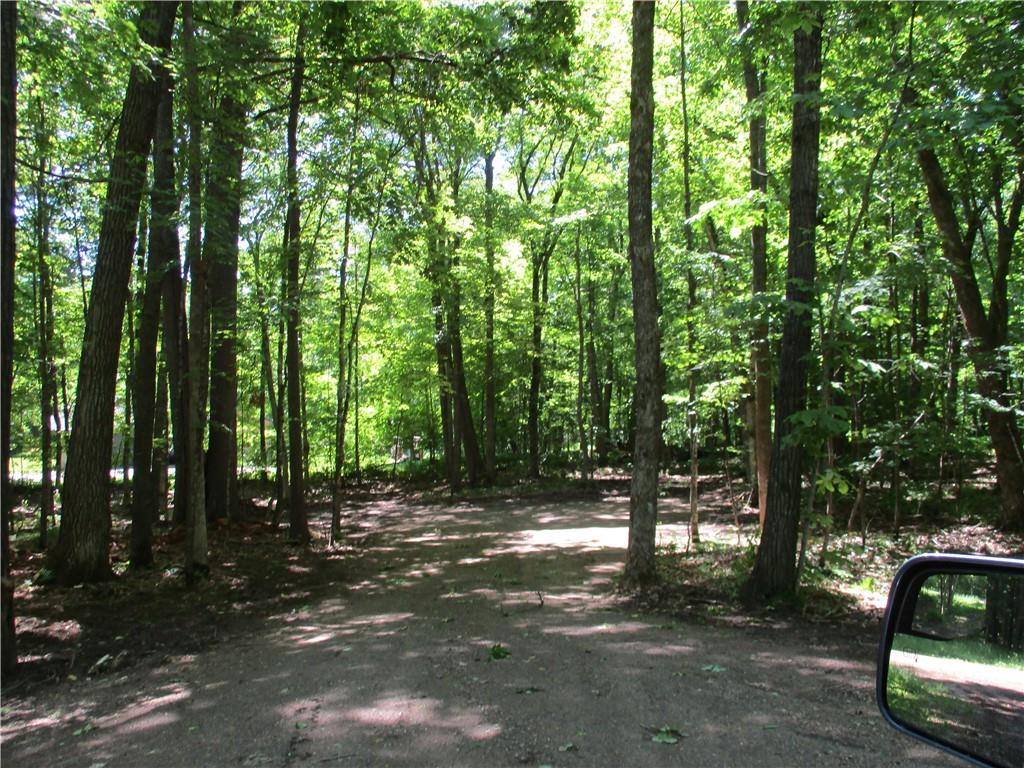 LOT #64 CHIPPEWA CT. Birchwood WI 54817 - Red Cedar 1562215 image1
