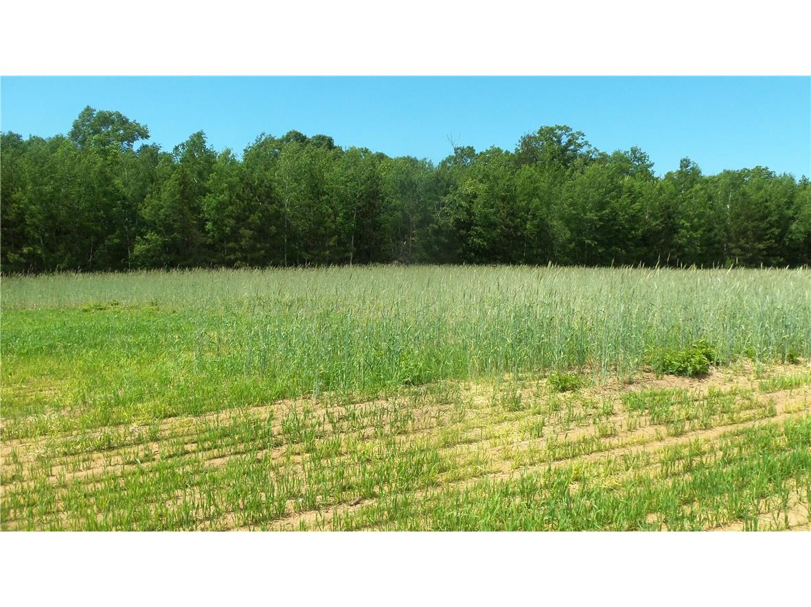 LOT 7 Maple Lane Siren WI 54872 1593395 image4